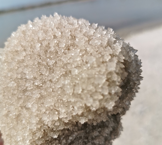 Krystaly soli